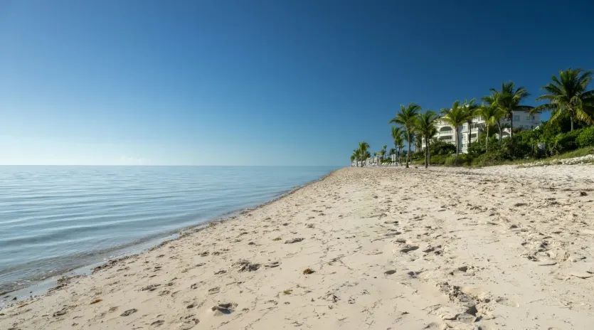 4.4 goldfinger beach view