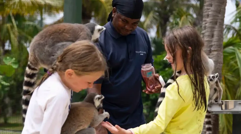 7.11 squids with lemurs