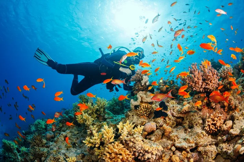 things to do in turks and caicos 