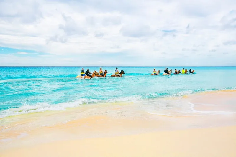 things to do in turks and ciacos 