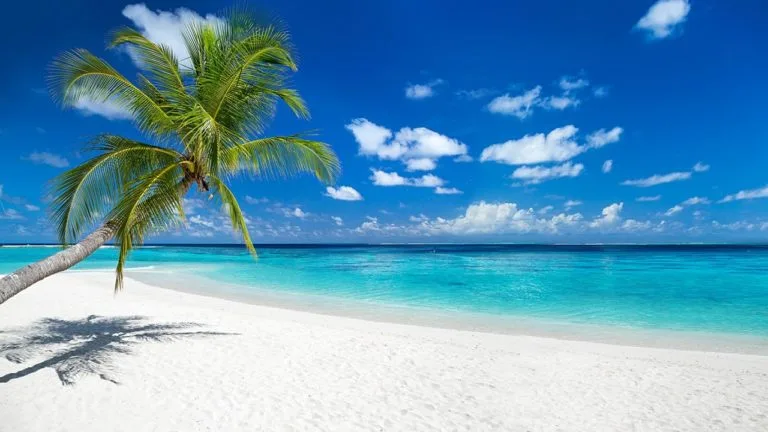Turks and Caicos Grace Bay Beach with white sand and blue waters. seven mile beach