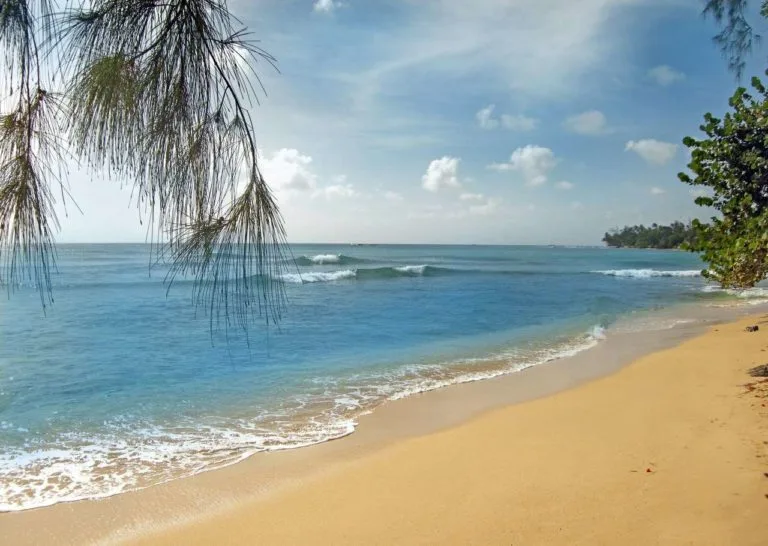 Mullins Beach in Barbados has great swimming and snorkeling. 