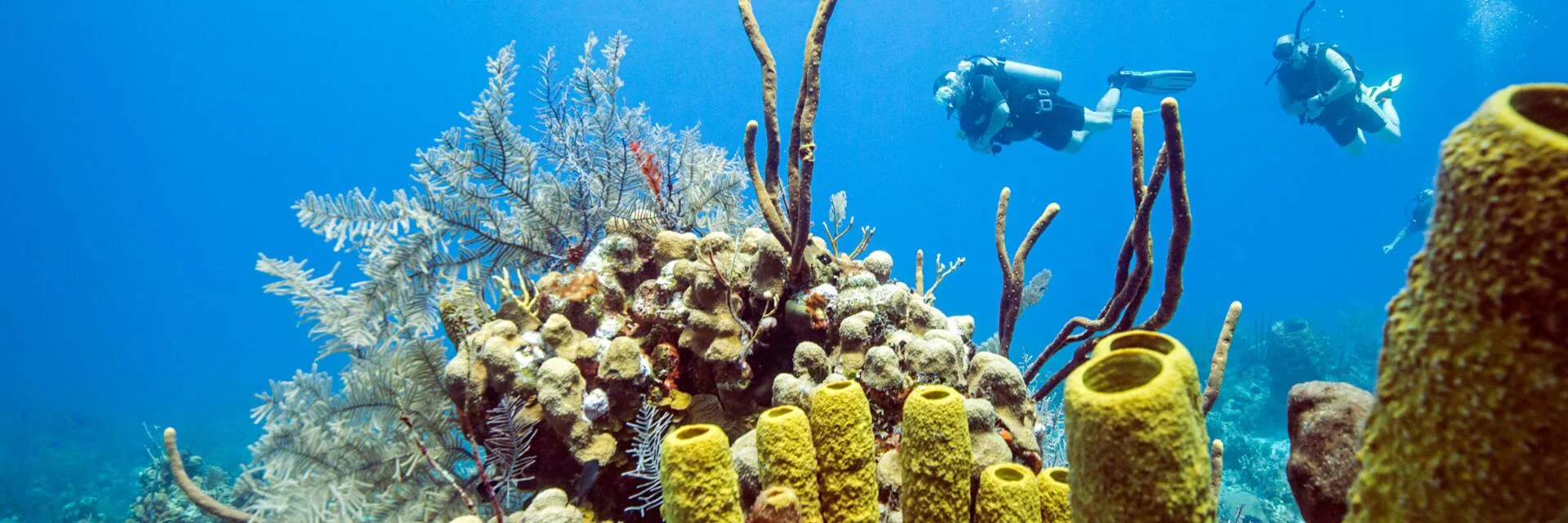 Scuba Diving, Turks & Caicos (image courtesy of Visit TCI)
