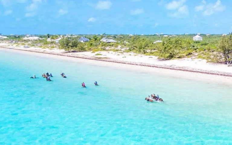 Provo Ponies, Turks & Caicos