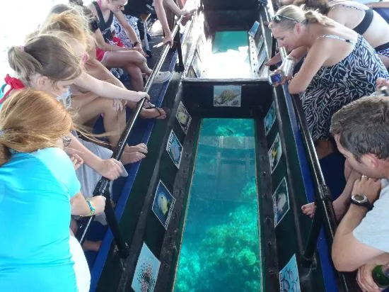 Glass-Bottom Boat Tours, Grand Cayman
