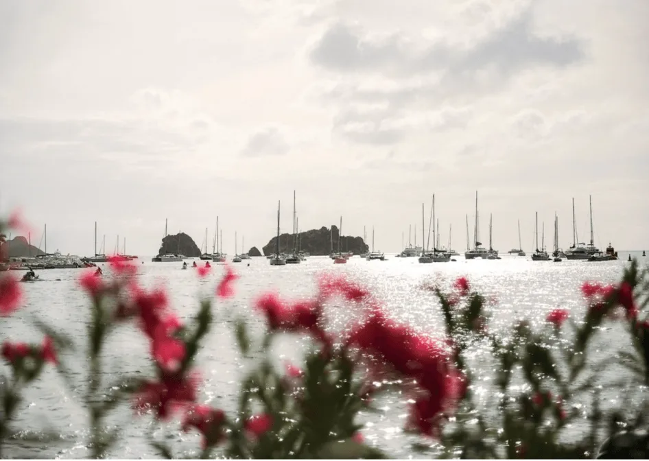 Celebrity news from St. Barths, Amanda Brooks, st barts 