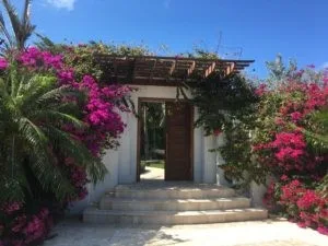 The entrance to Villa Turtle Breeze (TNC TBZ). All the villas in Turks had beautiful, friendly entrances like these. WIMCO Villas, Turtle Breeze, TNC TBZ, Turks & Caicos, Grace Bay/Beachside, Family Friendly Villa, 5 Bedroom Villa, 5 Bathroom Villa, Pool, Villa Entrance,, WiFi