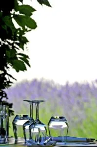 Wine-glasses-in-Lavender-field