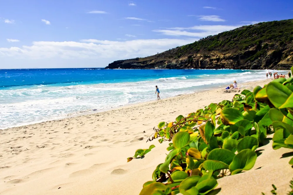 Saline is one of the largest beaches on St. Barths.