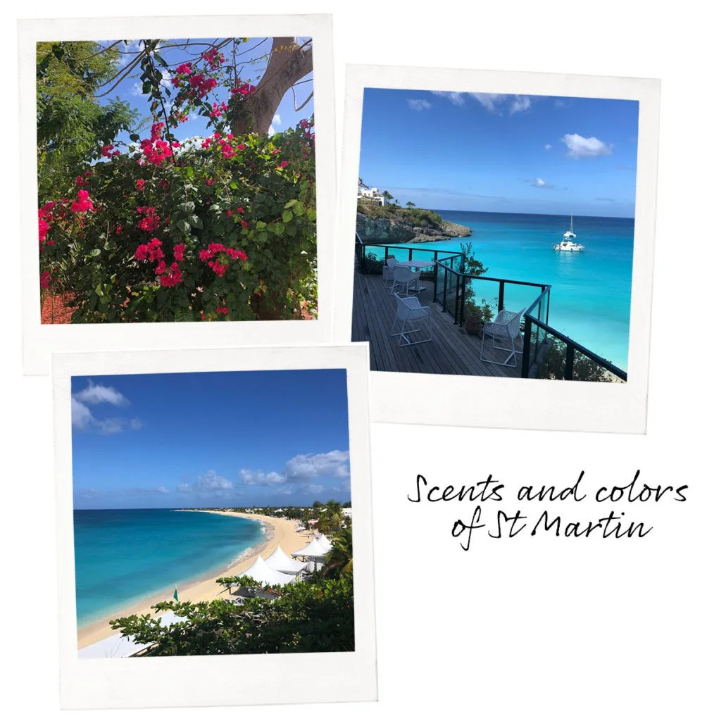 Scents and colors of St. Martin. St Martin Beaches