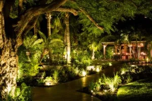 Tamarin st barts