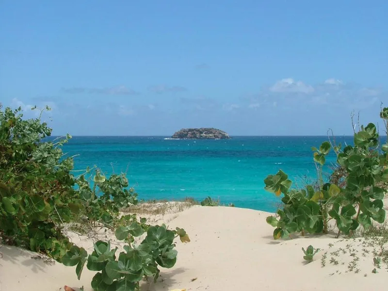 Saline beach st barts 
