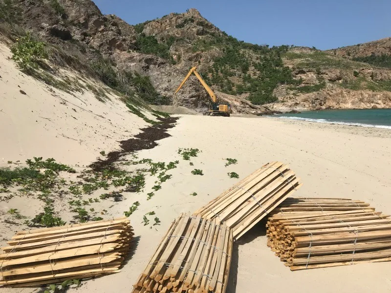 Saline beach in st barts
