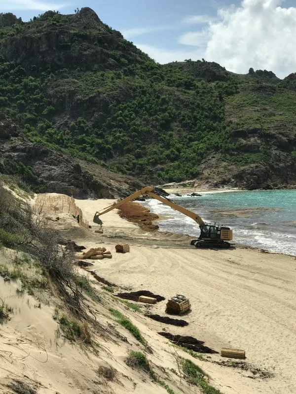 Saline beach in st barts 