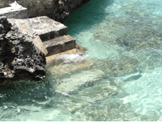 turks and caicos steps to aqua water