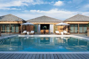 Parrot Cay