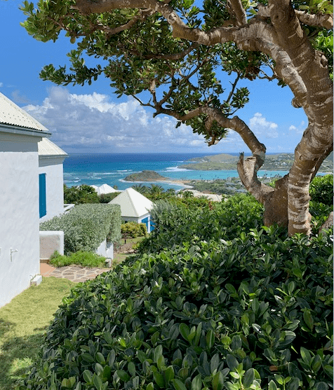 Chiara Comolli – St Barths Oct 28 – Nov 7, 2019