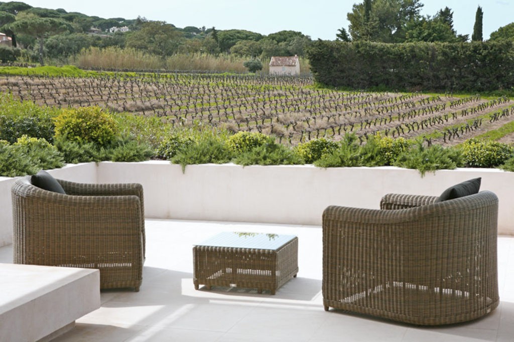 What to See in Provence: A Nature Lover’s Guide to Lavender Fields, Limestone Cliffs, and Vineyards