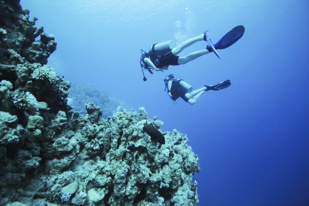 Diving in the Turks & Caicos: 5 Tips for Making the Most of Your Adventure