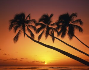 Top Five Villas to Share with Friends