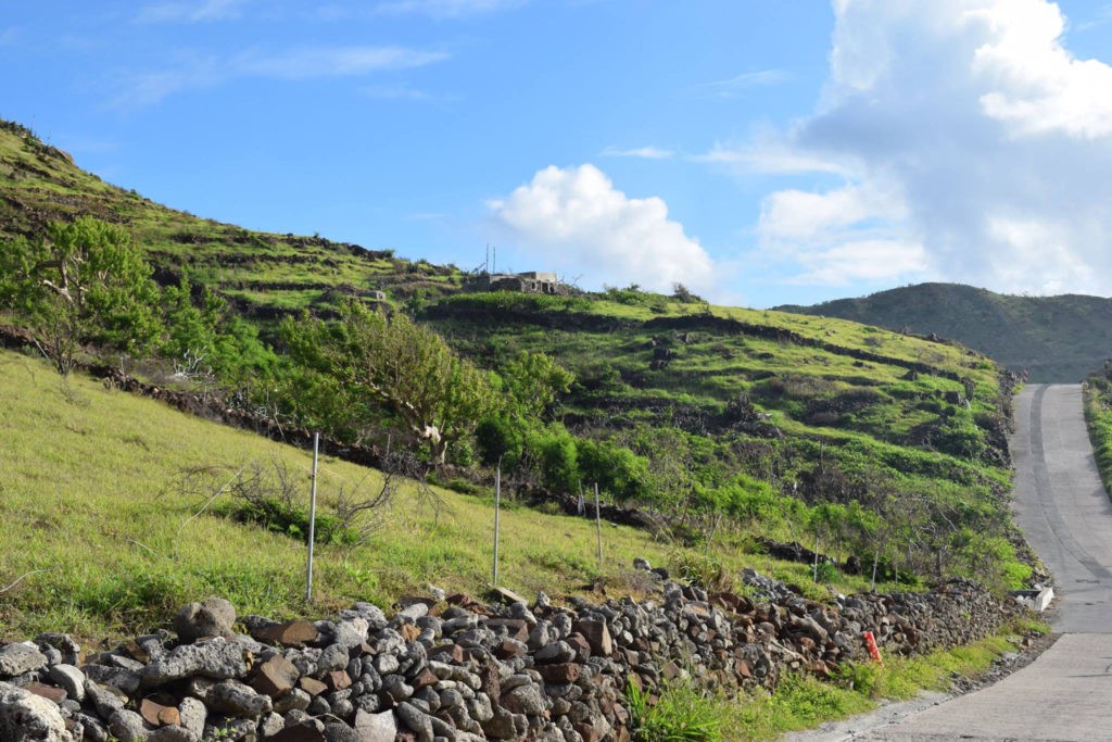 Toiny, credit St Barts pour les Intimes