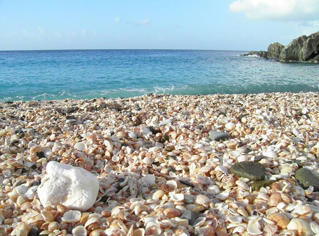Shell Beach, credit St Barts pour les Intimes