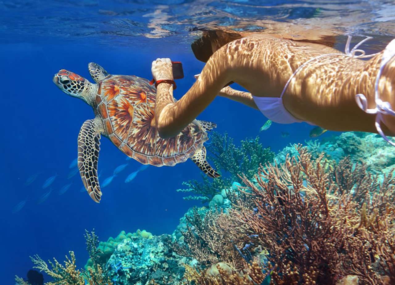 ?image=vignette snorkeling_snrkl_desktop