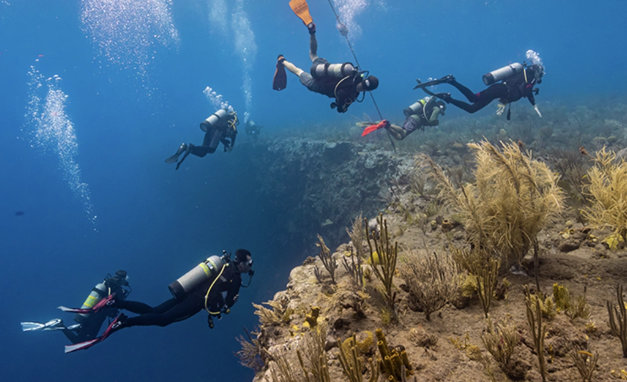 Dive at St. Martin’s “Sister Island” of Saba