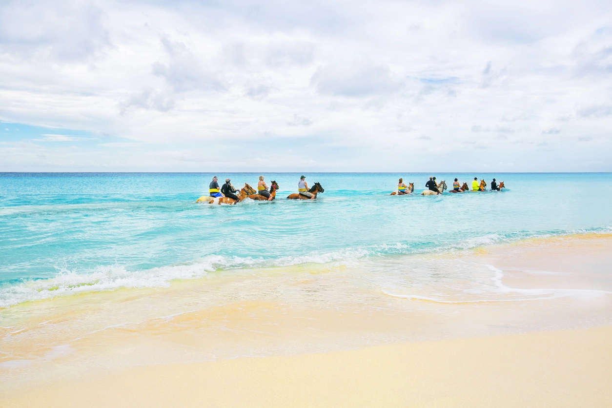 Go Horseback Riding on the Beach: Saddle Up & Go