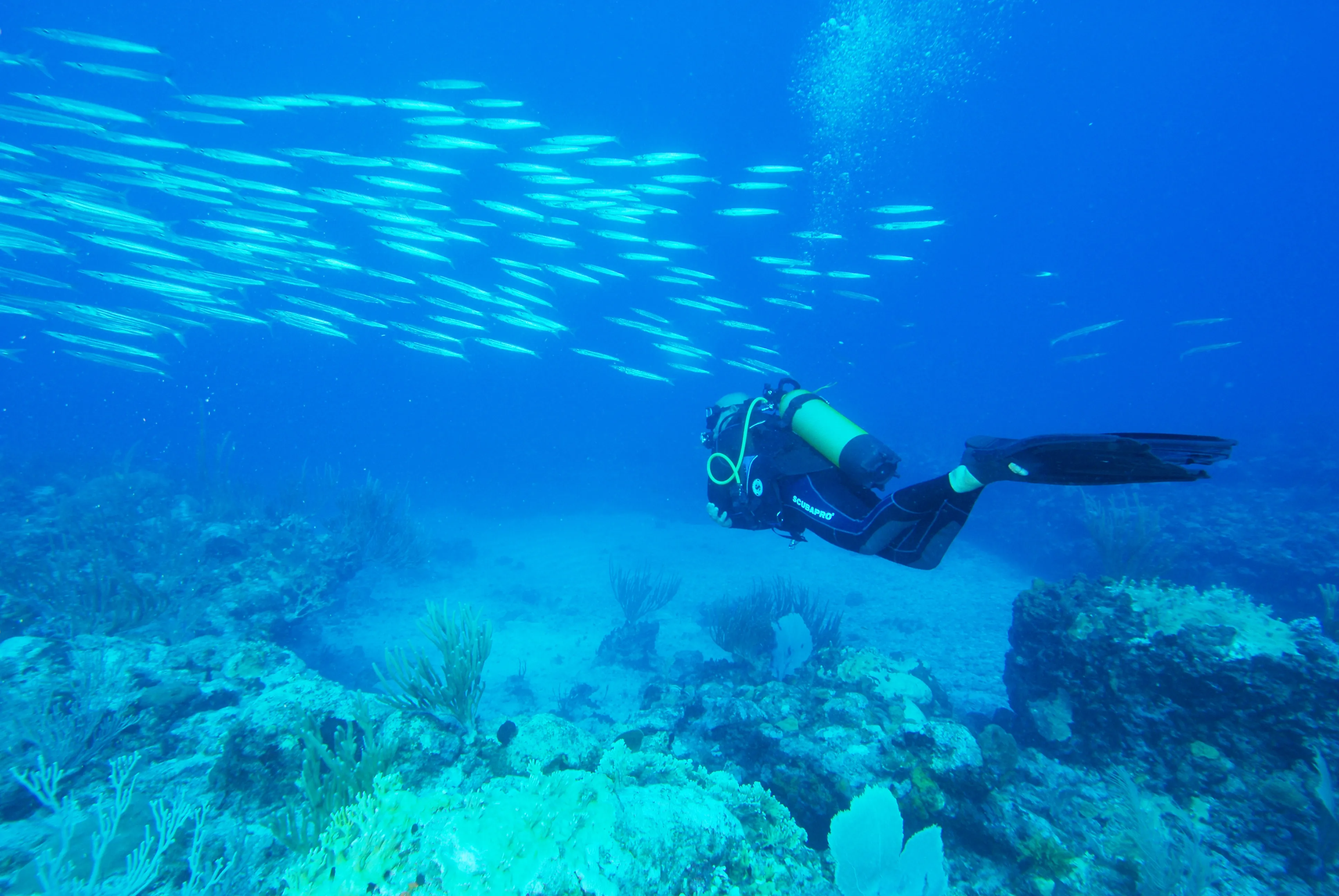 Grand Turk