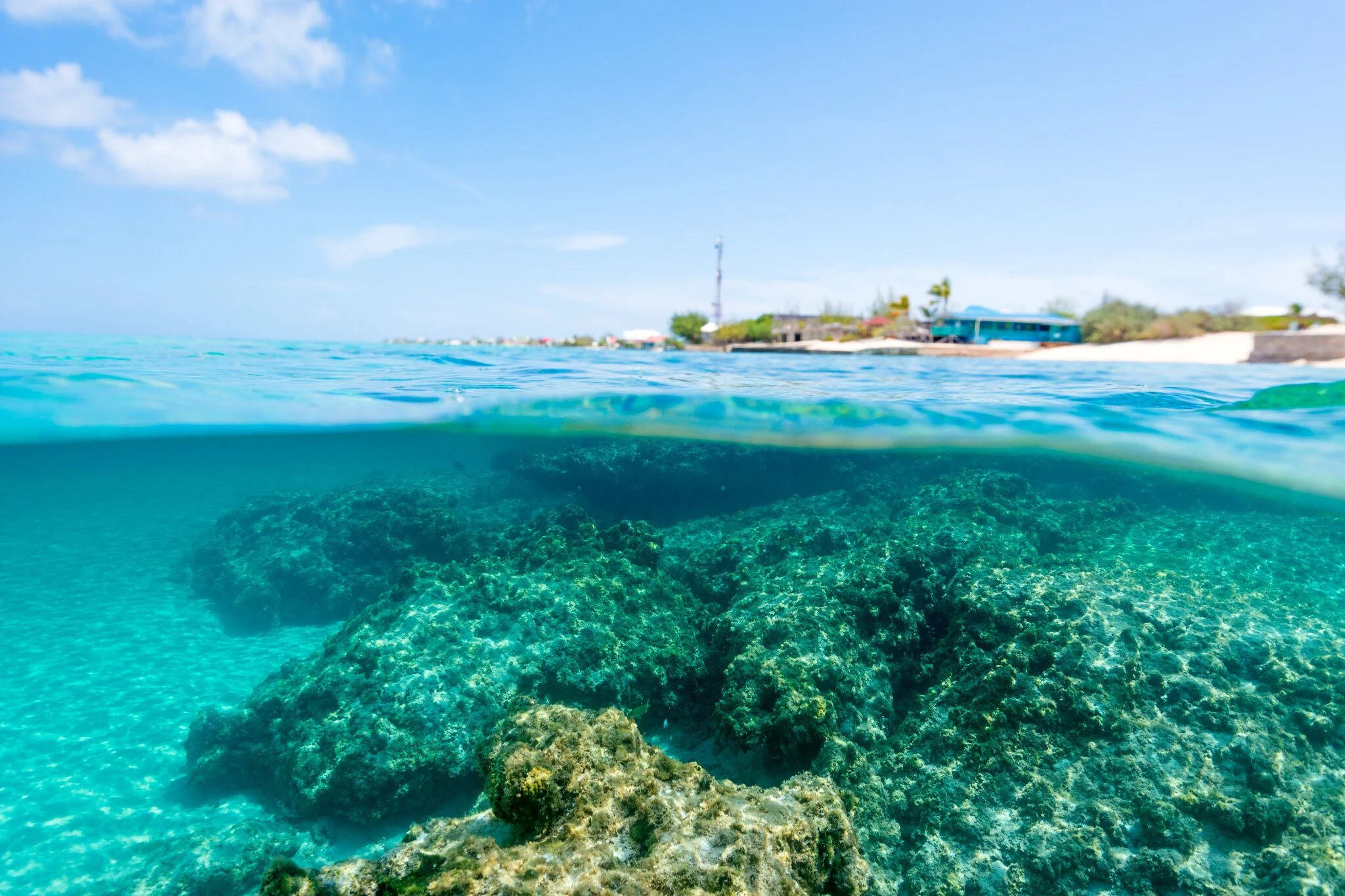 Snorkeling, Grand Turk