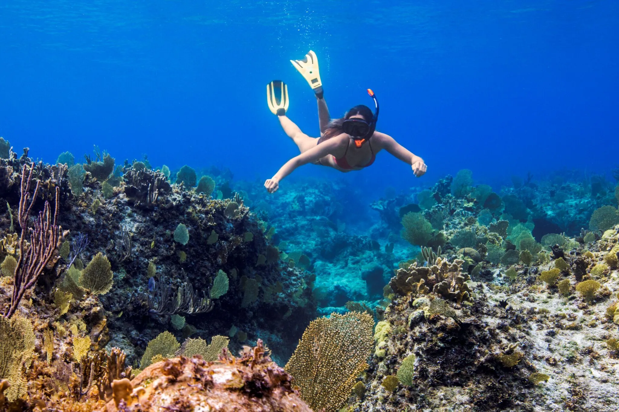 Provideciales Barrier Reef