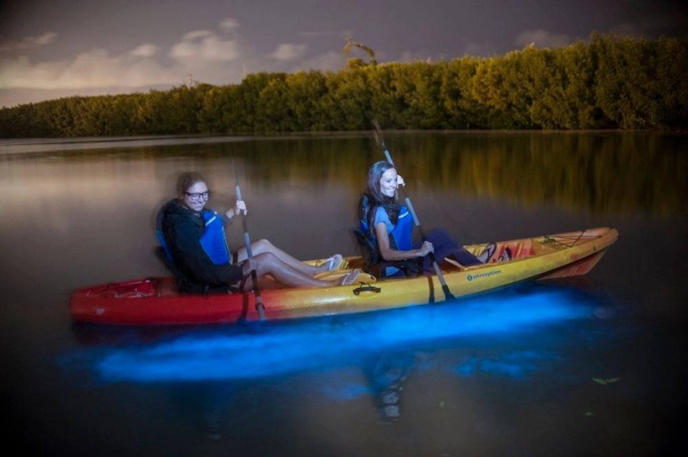 Bioluminescent Bay, Grand Cayman © www.visitcaymanislands.com